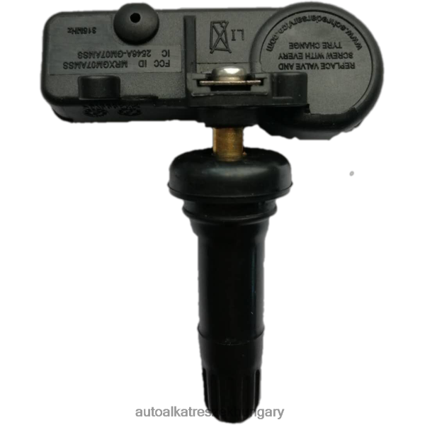 Autó alkatrészek Magyarországon - tpms datsun guminyomás-érzékelő 3617020001b17 DL62XL2649