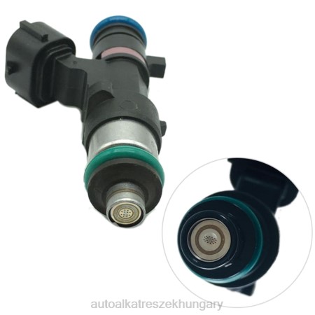 Autóalkatrészek nevei - 166006863r üzemanyag befecskendező RXL295 RENAULT